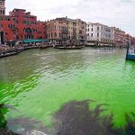 En las aguas de Venecia apareció una misteriosa mancha verde