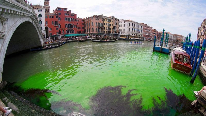 En las aguas de Venecia apareció una misteriosa mancha verde